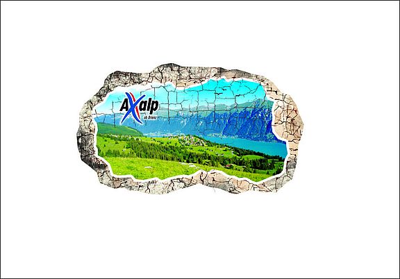 Stein_Axalp_2.jpg